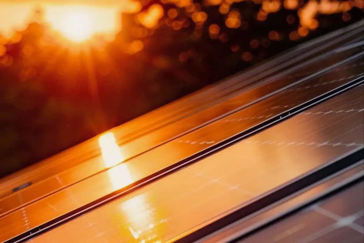 خرید کانکتور خورشیدی